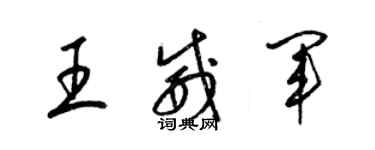 梁锦英王威军草书个性签名怎么写