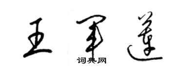 梁锦英王军莲草书个性签名怎么写