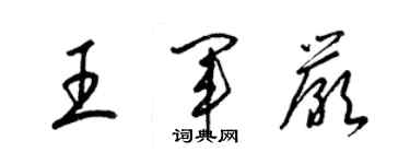 梁锦英王军严草书个性签名怎么写