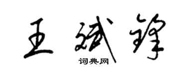 梁锦英王斌锋草书个性签名怎么写