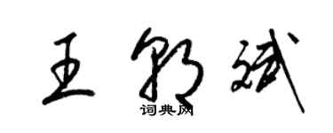 梁锦英王朝斌草书个性签名怎么写