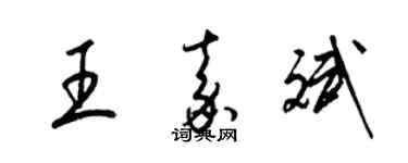 梁锦英王嘉斌草书个性签名怎么写