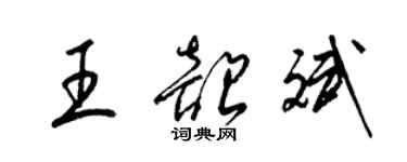 梁锦英王韶斌草书个性签名怎么写