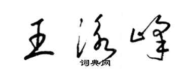 梁锦英王泳峰草书个性签名怎么写