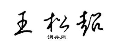 梁锦英王松超草书个性签名怎么写