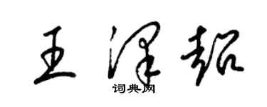 梁锦英王泽超草书个性签名怎么写