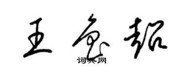 梁锦英王鲁超草书个性签名怎么写