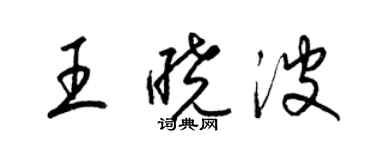 梁锦英王晓波草书个性签名怎么写
