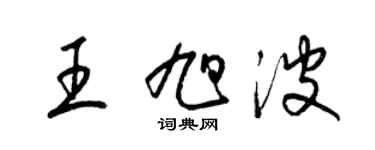 梁锦英王旭波草书个性签名怎么写