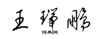 梁锦英王瑞鹏草书个性签名怎么写