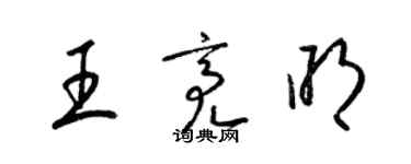 梁锦英王亮明草书个性签名怎么写