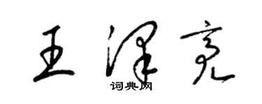 梁锦英王泽亮草书个性签名怎么写