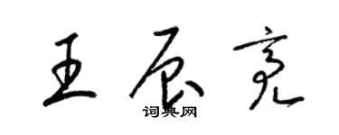 梁锦英王辰亮草书个性签名怎么写