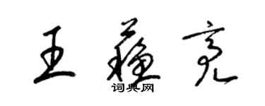 梁锦英王苏亮草书个性签名怎么写