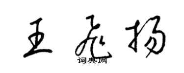 梁锦英王飞扬草书个性签名怎么写