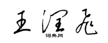 梁锦英王润飞草书个性签名怎么写