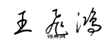 梁锦英王飞鸿草书个性签名怎么写