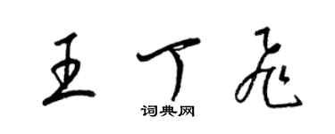 梁锦英王丁飞草书个性签名怎么写