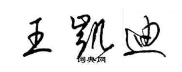 梁锦英王凯迪草书个性签名怎么写