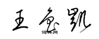 梁锦英王鲁凯草书个性签名怎么写