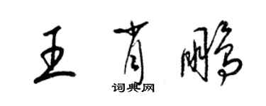 梁锦英王肖鹏草书个性签名怎么写