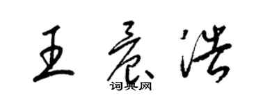 梁锦英王晨浩草书个性签名怎么写