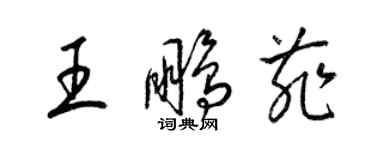 梁锦英王鹏菲草书个性签名怎么写