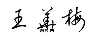 梁锦英王华梅草书个性签名怎么写