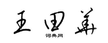 梁锦英王田华草书个性签名怎么写