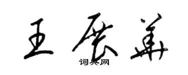 梁锦英王展华草书个性签名怎么写