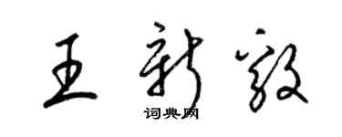 梁锦英王新毅草书个性签名怎么写