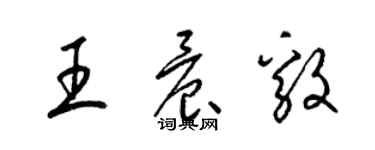 梁锦英王晨毅草书个性签名怎么写