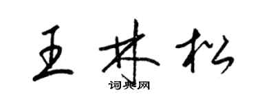 梁锦英王林松草书个性签名怎么写