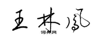 梁锦英王林凤草书个性签名怎么写
