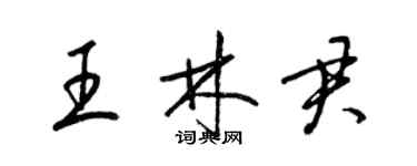 梁锦英王林君草书个性签名怎么写