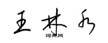 梁锦英王林水草书个性签名怎么写