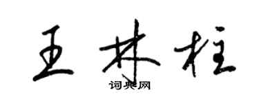 梁锦英王林柱草书个性签名怎么写