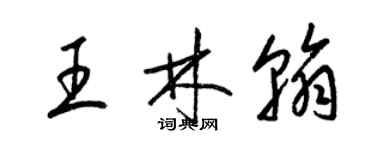 梁锦英王林翰草书个性签名怎么写