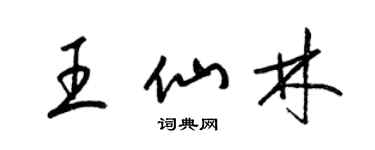 梁锦英王仙林草书个性签名怎么写
