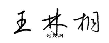 梁锦英王林桐草书个性签名怎么写