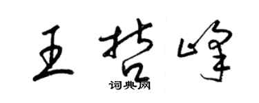 梁锦英王哲峰草书个性签名怎么写