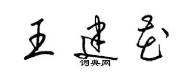梁锦英王建花草书个性签名怎么写