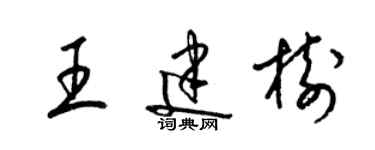 梁锦英王建树草书个性签名怎么写