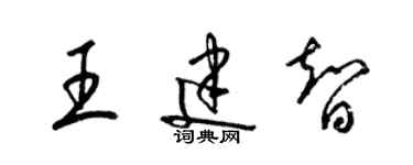 梁锦英王建智草书个性签名怎么写