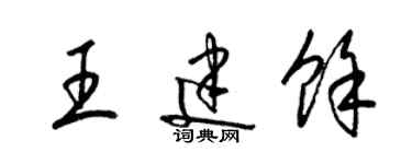 梁锦英王建余草书个性签名怎么写