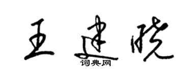 梁锦英王建晓草书个性签名怎么写