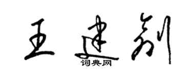 梁锦英王建创草书个性签名怎么写