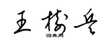 梁锦英王树兵草书个性签名怎么写