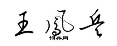 梁锦英王凤兵草书个性签名怎么写