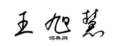 梁锦英王旭慧草书个性签名怎么写